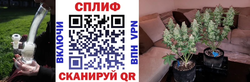 Бошки Шишки индика  Туран 